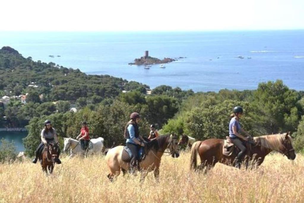 Dans Un Cadre D'Exception, Vue Mer Panoramique A Agay Cote D'Azur, Village Vacances Cap Esterel, T2 Avec Jardin, Golf, Climatisation, Wifi, 5 Piscines Saint-Raphaël Extérieur photo