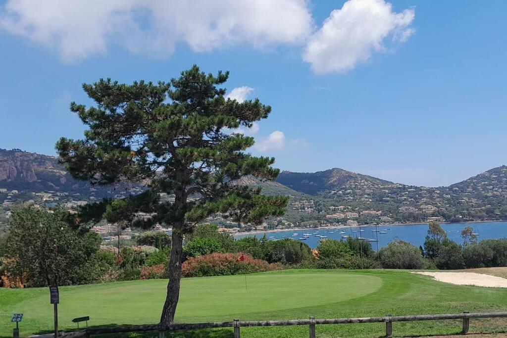 Dans Un Cadre D'Exception, Vue Mer Panoramique A Agay Cote D'Azur, Village Vacances Cap Esterel, T2 Avec Jardin, Golf, Climatisation, Wifi, 5 Piscines Saint-Raphaël Extérieur photo
