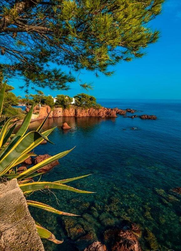 Dans Un Cadre D'Exception, Vue Mer Panoramique A Agay Cote D'Azur, Village Vacances Cap Esterel, T2 Avec Jardin, Golf, Climatisation, Wifi, 5 Piscines Saint-Raphaël Extérieur photo